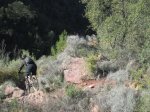 IMG_7938.JPG