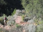 IMG_7939.JPG