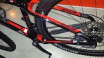 bici david (2).jpg