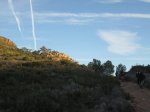 IMG_7949.JPG