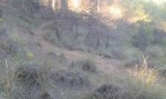 20141218_171713.jpg