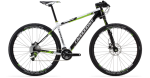 C14_29M_F29C_3_REP_E_1.png