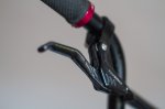 Haro-2.jpg