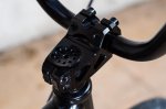 Haro-10.jpg