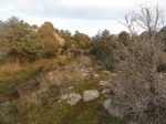 DSC03907 - copia.JPG