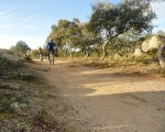 DSC03923 - copia.JPG