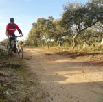 DSC03924 - copia.JPG