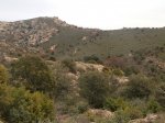 DSC03951 - copia.JPG