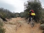 DSC03979 - copia.JPG