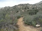 DSC03981 - copia.JPG