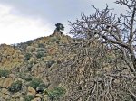 IMG_2931-Peñaliendre.jpg