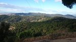 DSC_4202.JPG