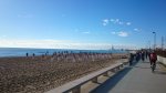 DSC_4211.JPG