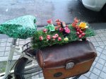 _2012-12-13 13.30.45.jpg