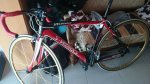 IMG-20141227-WA0004.jpg