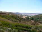 P1000150.JPG