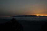 DSC_5525.JPG