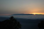 DSC_5526.JPG