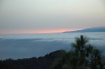 DSC_5530.JPG
