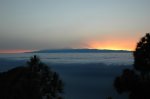 DSC_5534.JPG