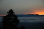 DSC_5536.JPG