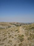 IMG_4072.jpg
