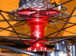 Cannondale_Rush_07.jpg