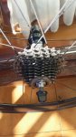 IMG-20141231-WA0011.jpg