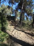1ª SALIDA 2015  (25).JPG