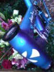 WP_000647.jpg