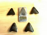 461 Peso de tapa Record Delta Carbonius en resina y polvo titanio.jpg