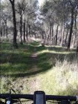 20150102_122142.jpeg