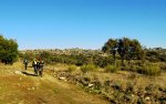 DSC04074.JPG