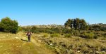 DSC04076.JPG