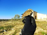 DSC04087.JPG