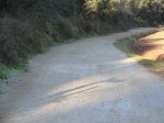 Ruta con O´Galego (6).JPG