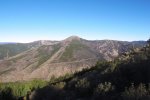 IMG_1539.JPG