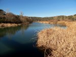 DSC04123.JPG