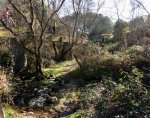 DSC04143.JPG