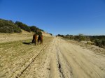 DSC04203.JPG