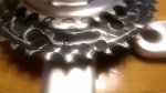 IMAG0381.jpg
