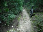 DSCF3287.jpg
