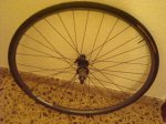 DSCN0390.JPG