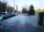 P1060001.JPG