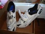 foromtb 031.JPG