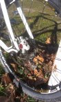 Orbea (7).jpg