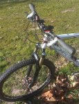 Orbea (8).jpg