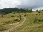 DSC03435.jpg