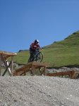 DSC03525.jpg