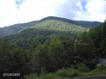 2007072411.JPG